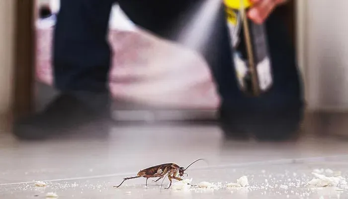 Flea control
