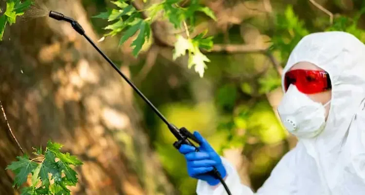 Wasp prevention and gap sealing services