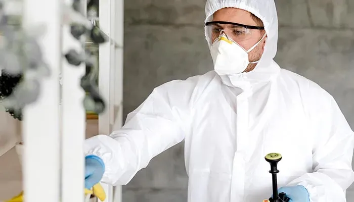 End of lease pest control Randwick certificate of treatment